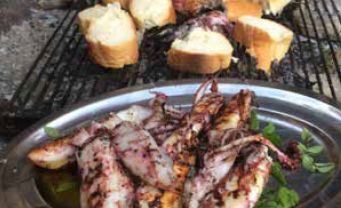 Novoletni ribolov na Škardi